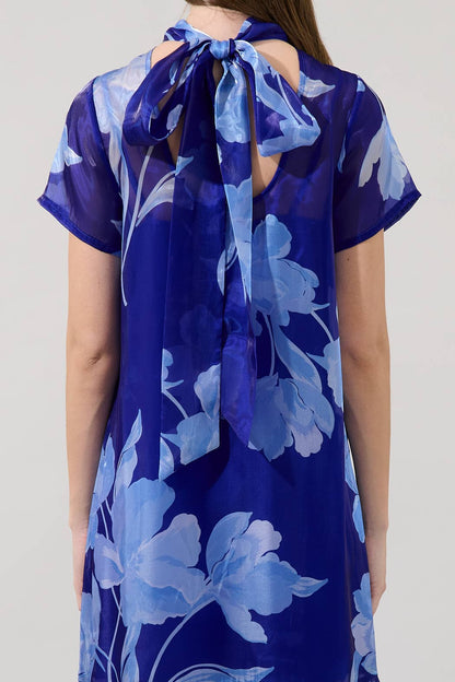 Dime Organza Mockneck Maxi Dress Floral